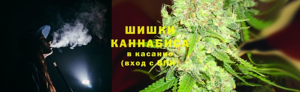 прущие грибы Бугульма