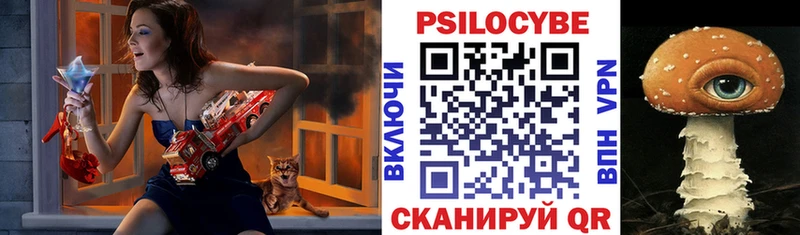 Псилоцибиновые грибы Psilocybe  Купить где  Гвардейск 